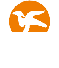 Mr.Crane Hotel